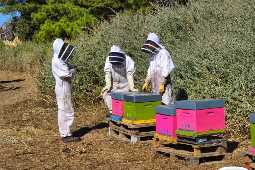 Les apiculteurs des Ruchers de Sauvy