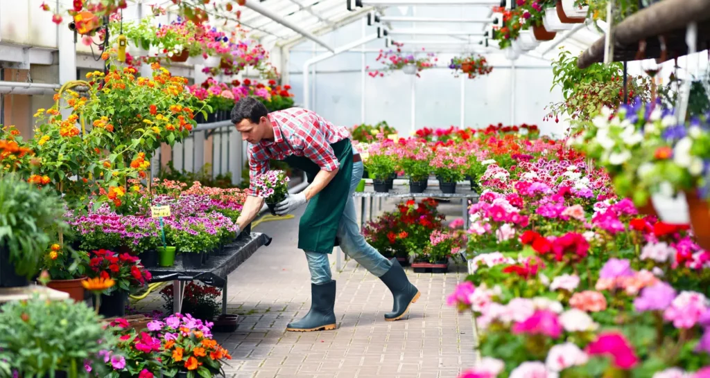 La pépinière de Bompas