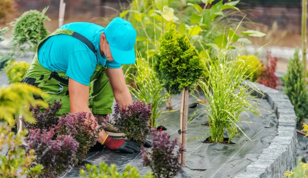 L'aménagement paysager par les ESAT et EA de l'Association Joseph SAUVY