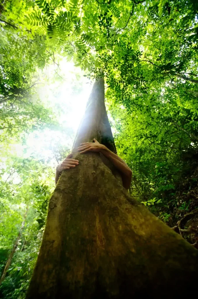 L'ESAT Joan CAYROL engagé pour la préservation des forêts